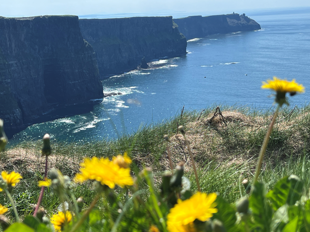 when burdens get lost by dawn linton as she describes the scenery at the top of the cliffs of Moher in Ireland.